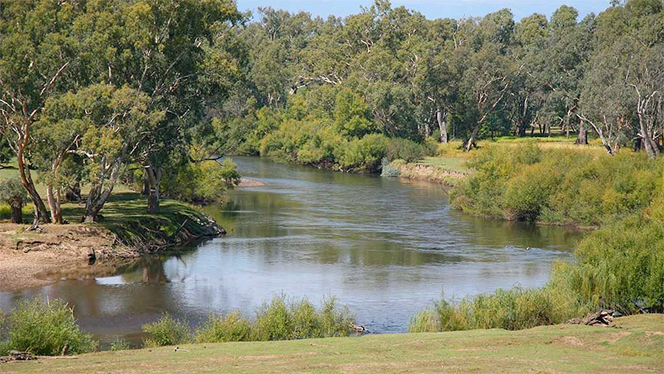 Clarke Lagoon Reserve