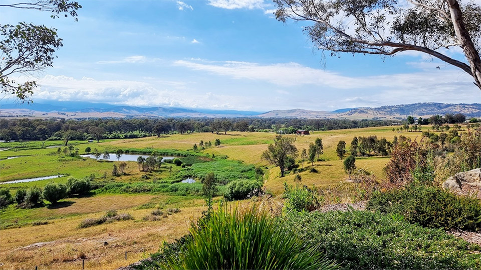 Jim Newman's Lookout
